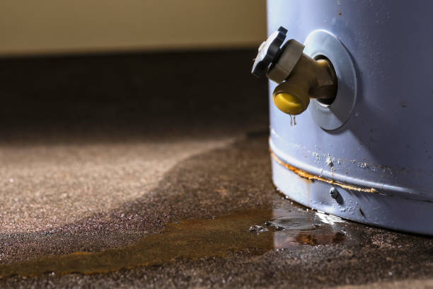Best Commercial water damage restoration  in Plummer, ID