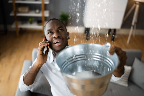 Best Water damage contractors near me  in Plummer, ID