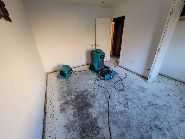 Best Emergency water damage restoration  in Plummer, ID