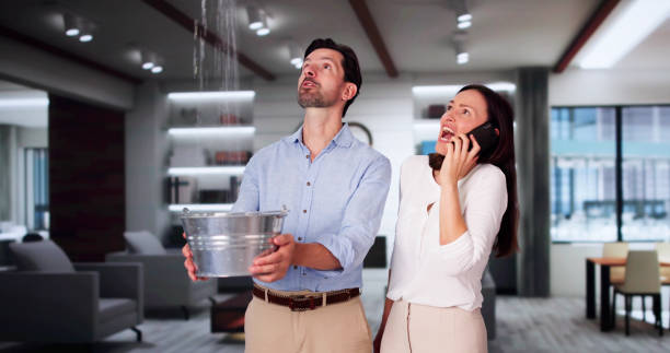 Best Professional water damage repair  in Plummer, ID