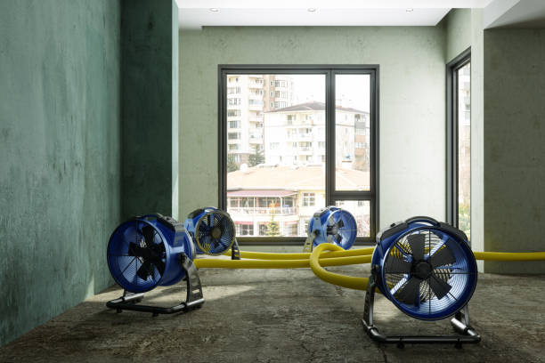 Best Residential water damage restoration  in Plummer, ID